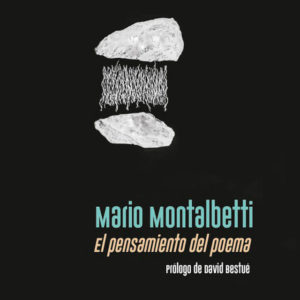 El pensamiento del poema