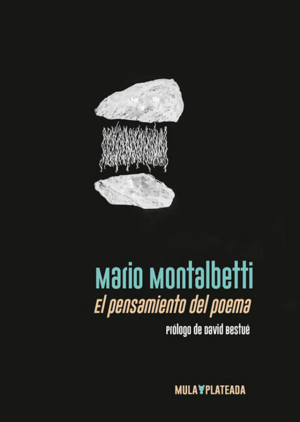 El pensamiento del poema