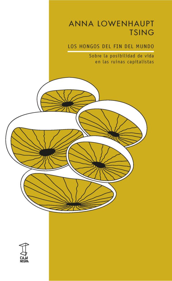 Los hongos del fin del mundo. Sobre la posibilidad de vida en las ruinas del capitalismo