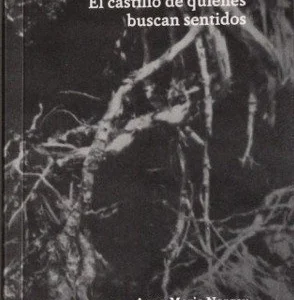 El castillo de quienes buscan sentidos