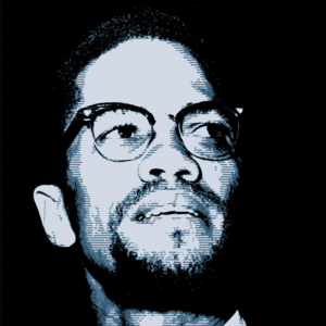 Malcolm X. Vida y voz de un hombre negro