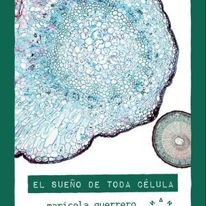 El sueño de toda célula