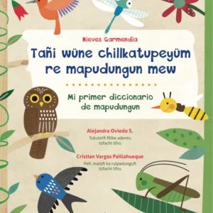Tañi wüne chillkatupeyüm re mapudungun mew / Mi primer diccionario de mapudungun