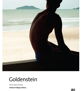 Goldenstein. Libros sobre artistas