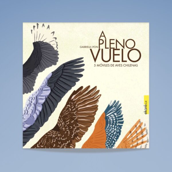 A pleno vuelo. 5 móviles de aves chilenas