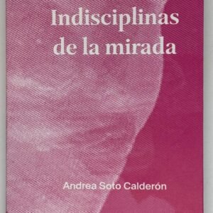 Indisciplinas de la mirada