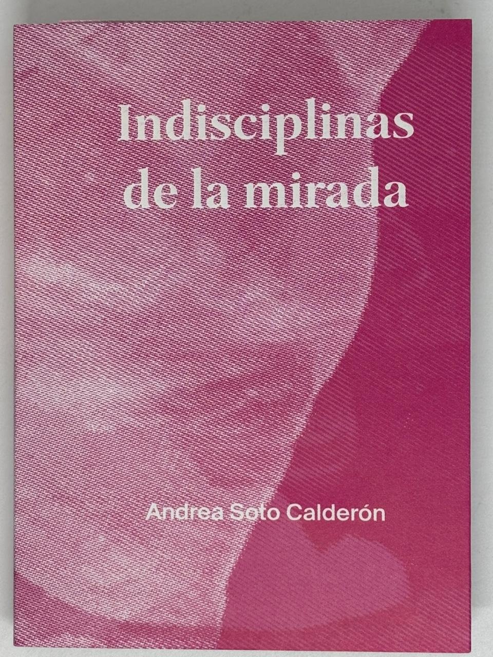 Indisciplinas de la mirada