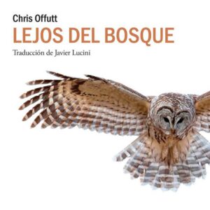Lejos del bosque