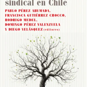 Huelgas laborales y revitalización sindical en Chile