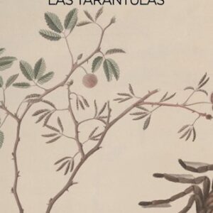 Las tarántulas