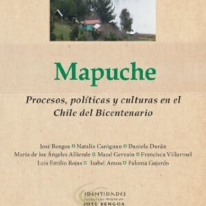 Mapuche. Procesos, políticas y culturas en el Chile del Bicentenario