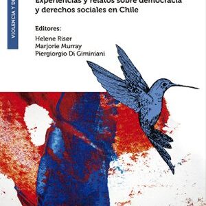 Después de los treinta años. Experiencias y relatos sobre democracia y derechos sociales en Chile