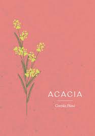 Acacia