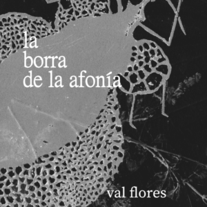 La borra de la afonía