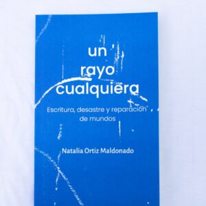 Un rayo cualquiera. Escritura, desastre y reparación de mundos
