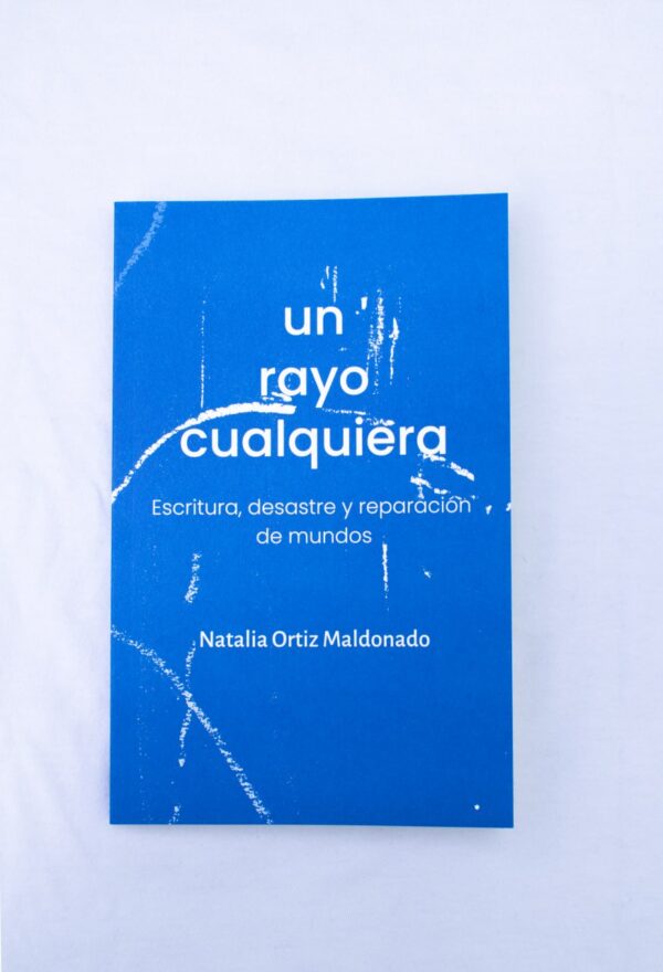 Un rayo cualquiera. Escritura, desastre y reparación de mundos