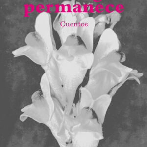Sólo lo fugitivo permanece. Cuentos