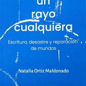 Un rayo cualquiera. Escritura, desastre y reparación de mundos