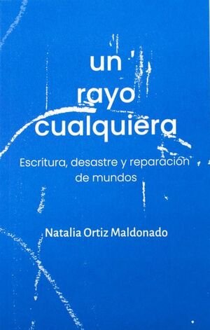 Un rayo cualquiera. Escritura, desastre y reparación de mundos