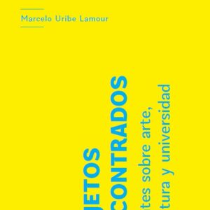 Objetos encontrados. Apuntes sobre arte, literatura y universidad