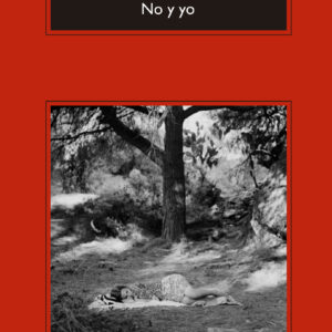 No y yo