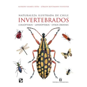 Invertebrados. Naturaleza ilustrada de Chile