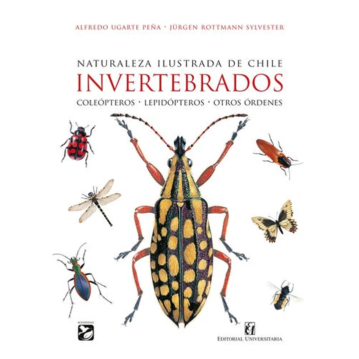 Invertebrados. Naturaleza ilustrada de Chile