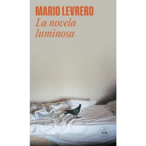 La novela luminosa