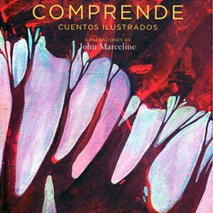 Lo que no se comprende. Cuentos ilustrados