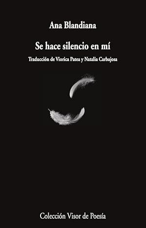 Se hace silencio en mí