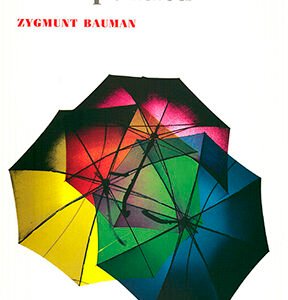 En busca de la política