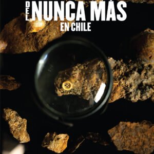Historia pública del Nunca más en Chile