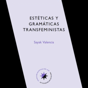 Estéticas y gramáticas transfeministas