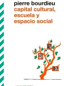 Capital cultural, escuela y espacio social