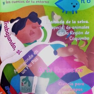 Revista Guarisapo, N° 6
