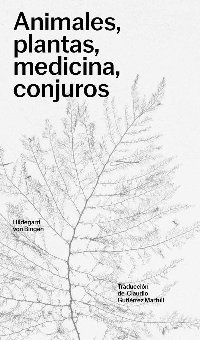 Animales, plantas, medicinas, conjuros