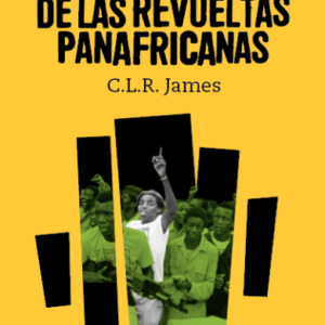 Historia de las revueltas panafricanas