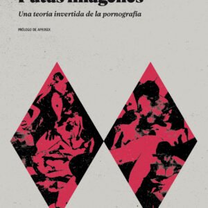 Putas imágenes. Una teoría invertida de la pornografía